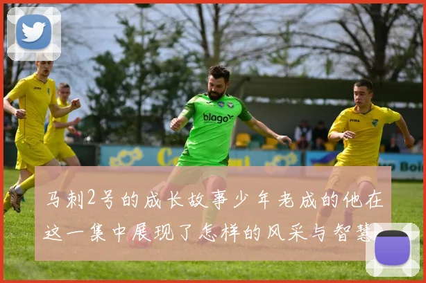 马刺2号的成长故事少年老成的他在这一集中展现了怎样的风采与智慧