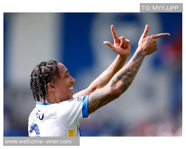 若昂佩德罗信心满满期待进球助力球队战胜水晶宫 若昂佩德罗信心满满期待进球助力球队战胜水晶宫